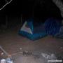 100_1500.jpg