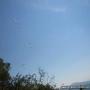 Compe-2007-048.jpg